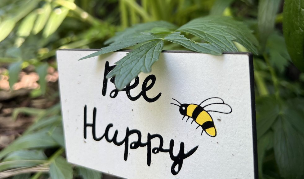 Tuindokter_Endorse_Stefaan Binge