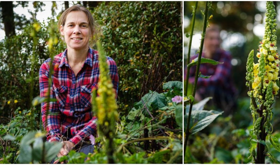 Tuinontwerpster Marleen werkt met onkruiden