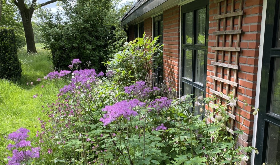 De Schans Breeberg 2