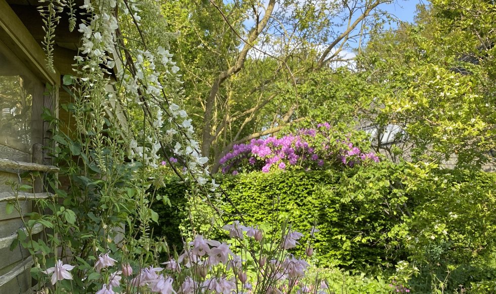 De Schans Breeberg 3