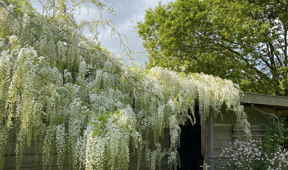 De Schans Breeberg 4