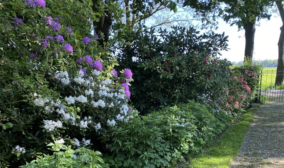 De Schans Breeberg 5