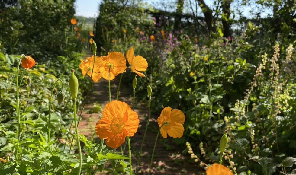 De Schans Breeberg 7