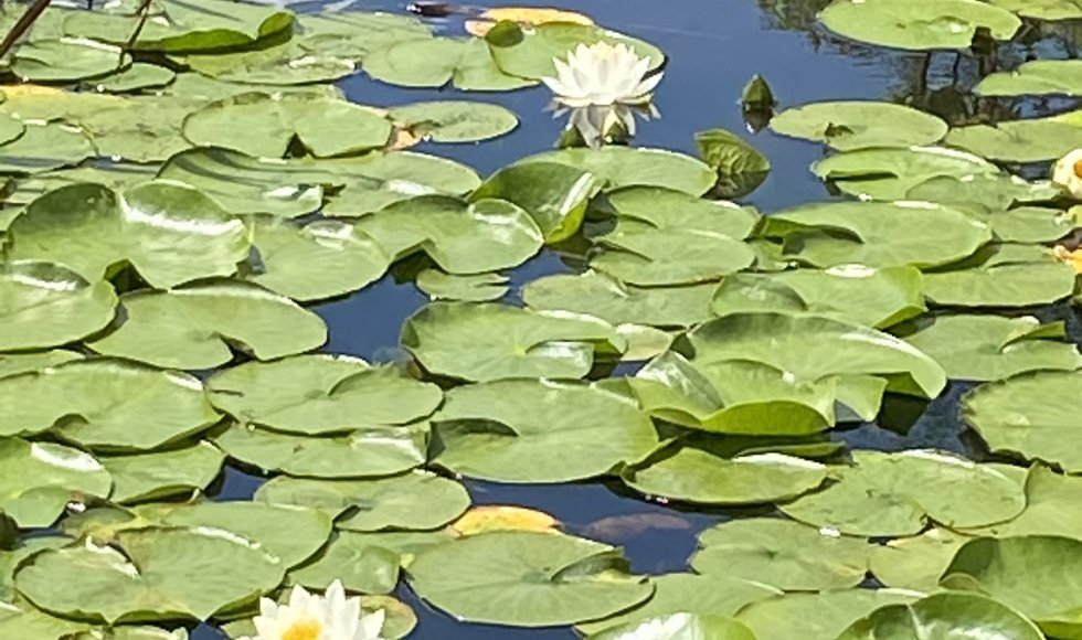 De Schans Breeberg 9