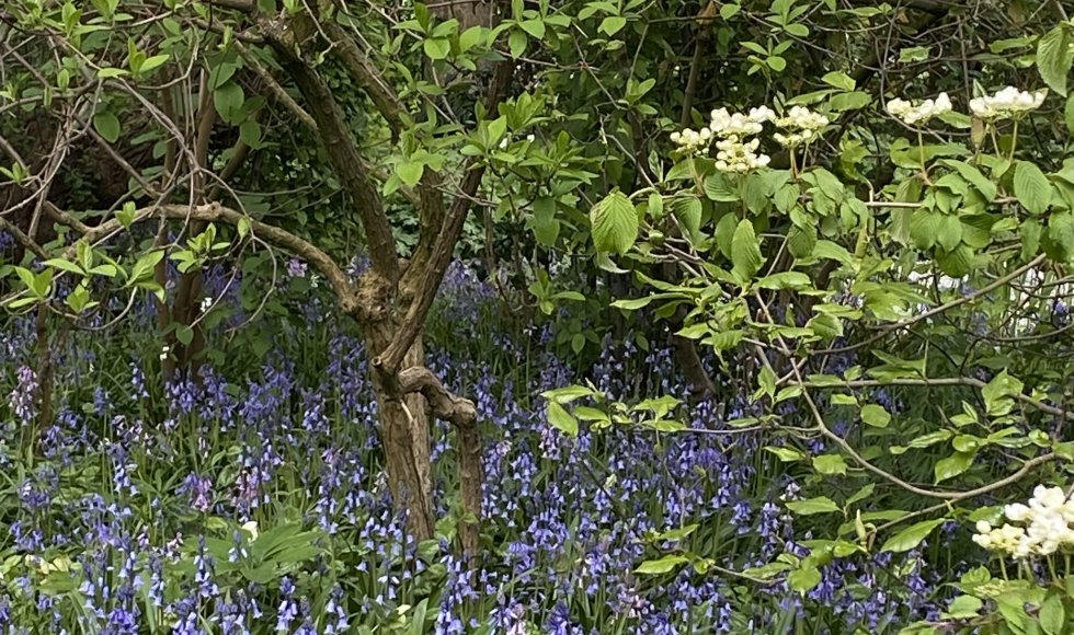 De Schans Breeberg 10