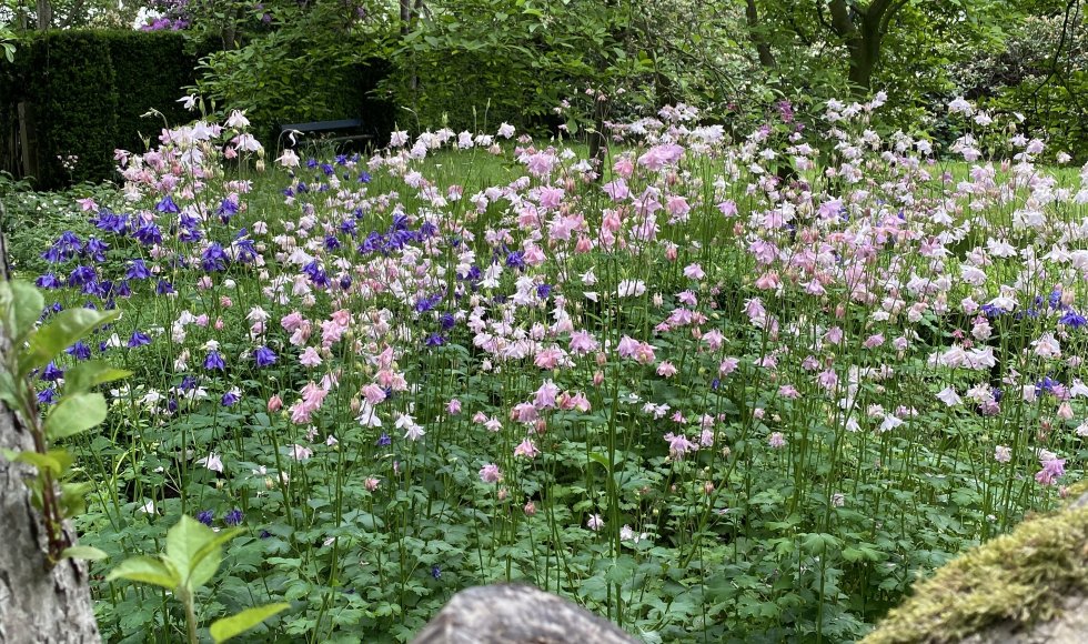 De Schans Breeberg 11