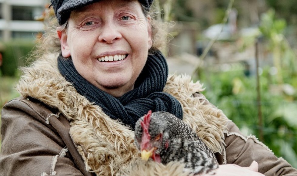 Fruitboomgaard in Brussel