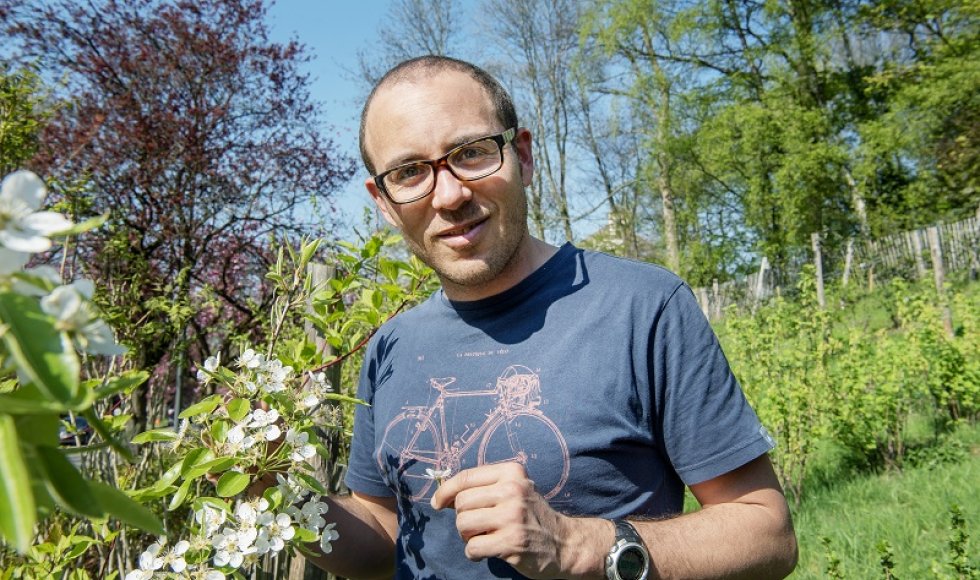 Brusselse boomgaard Refresh