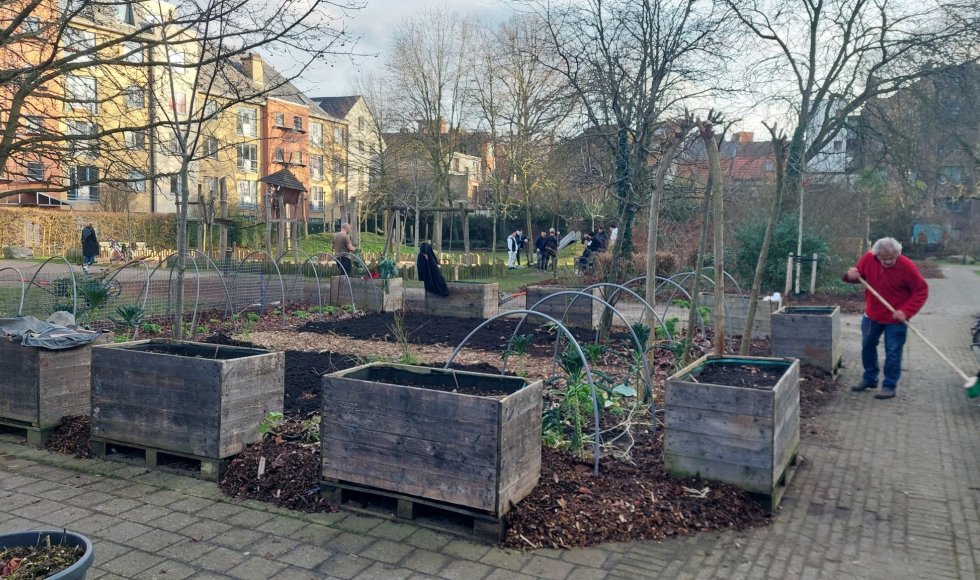 Verborgen kloostertuin Antwerpen