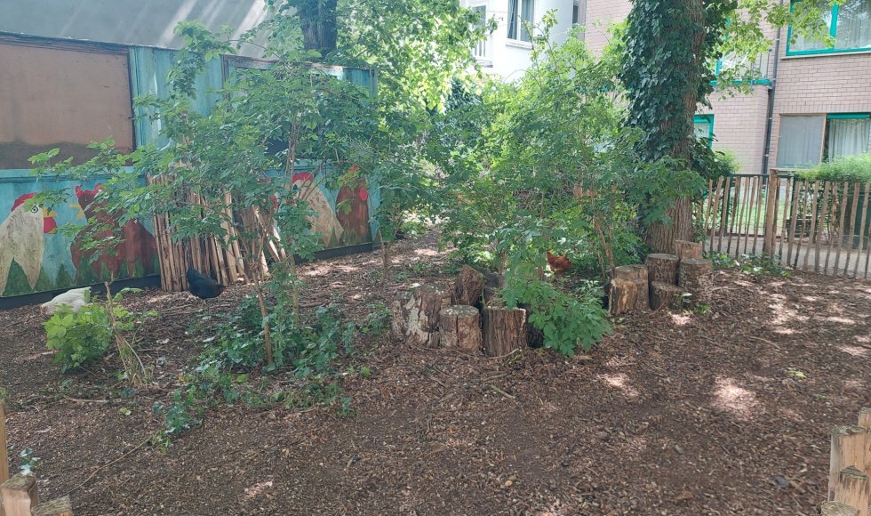 Verborgen kloostertuin Antwerpen