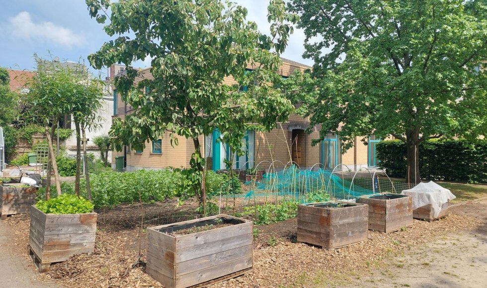 Verborgen kloostertuin Antwerpen