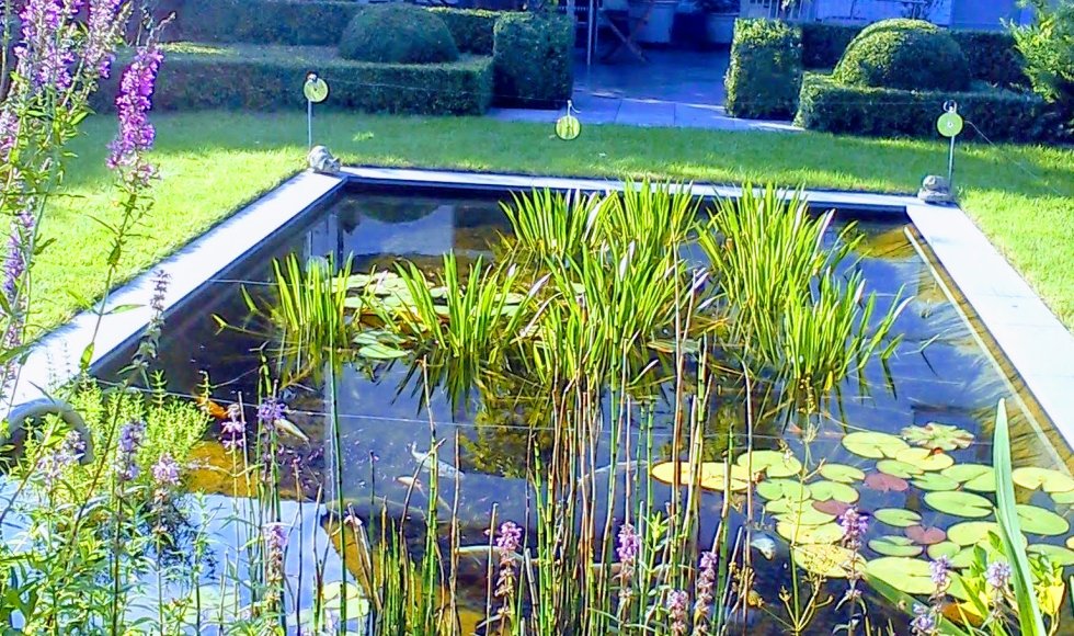 Den Bezegaard_Els Dossche