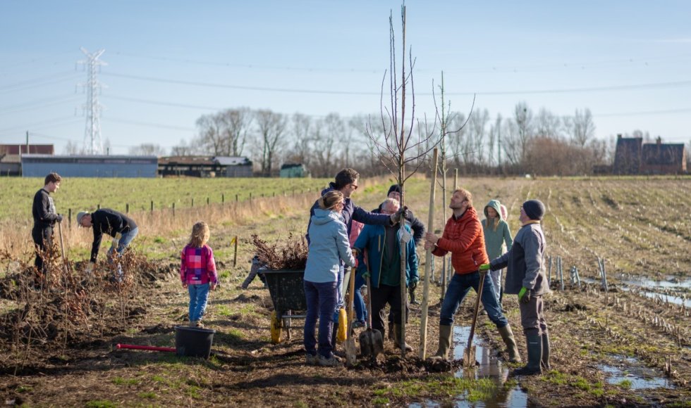 Aanplant voedselbosrand Schelle