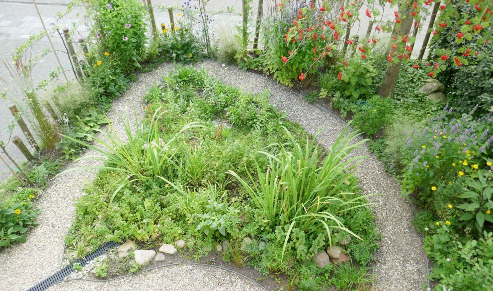 Jossy - Tuin van De Bloeigaard