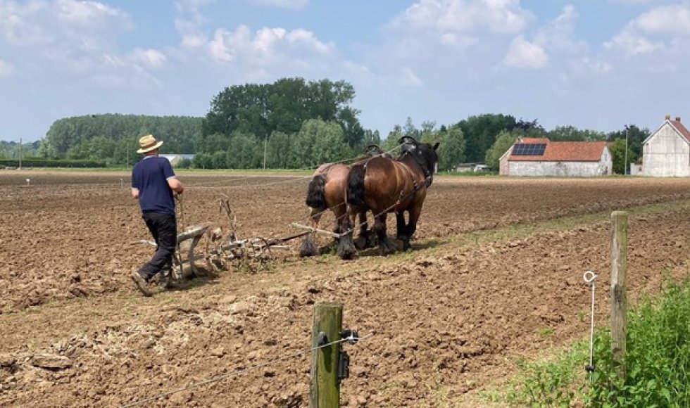 Bloemenpluktuin WeideWeelde