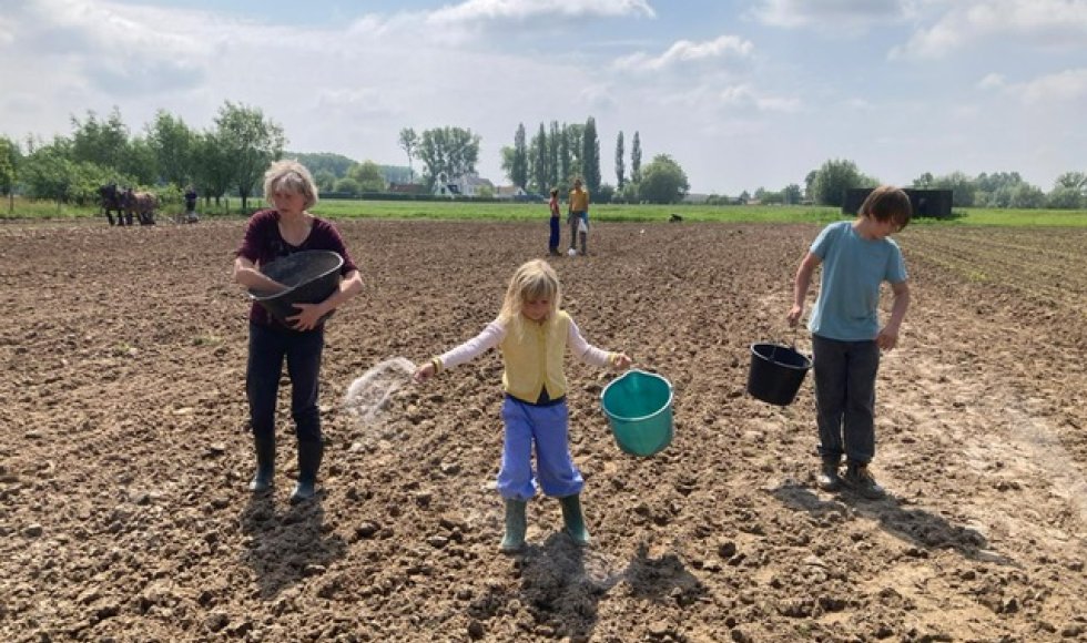 Bloemenpluktuin WeideWeelde