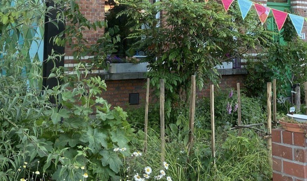 De helende dorpstuin: goed voor mens, dier, biodiversiteit en de Aarde