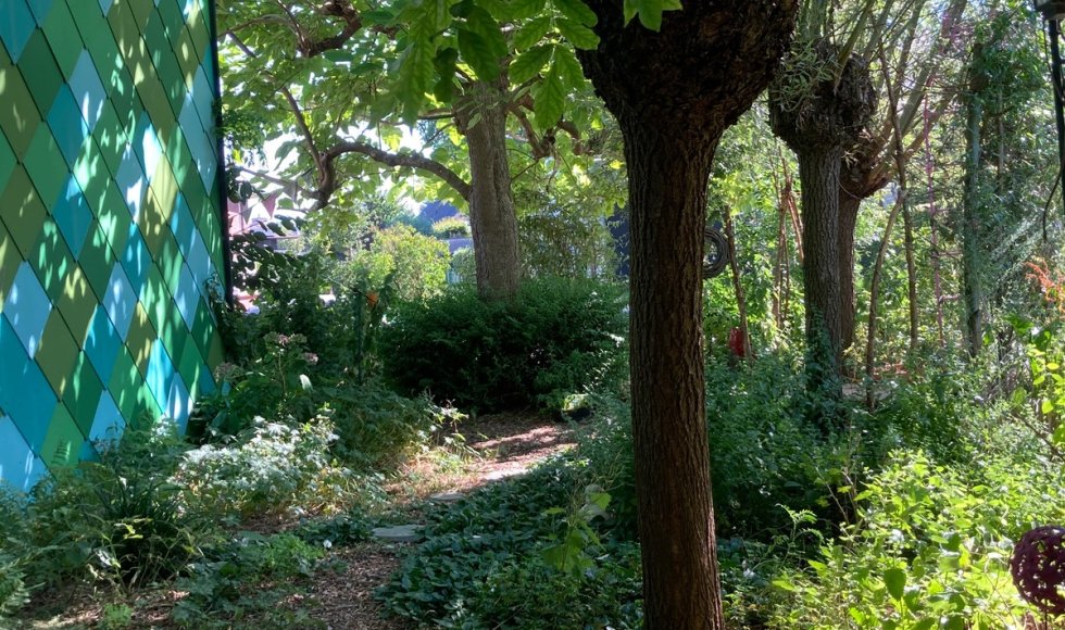 De hHelende dorpstuin: goed voor mens, dier, biodiversiteit en de Aarde