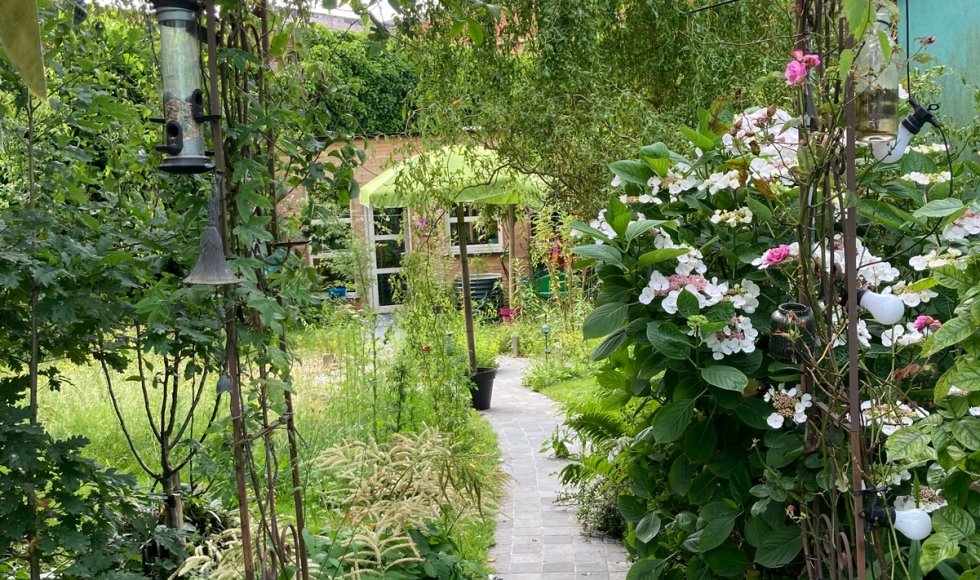 De helende dorpstuin: goed voor mens, dier, biodiversiteit en de Aarde