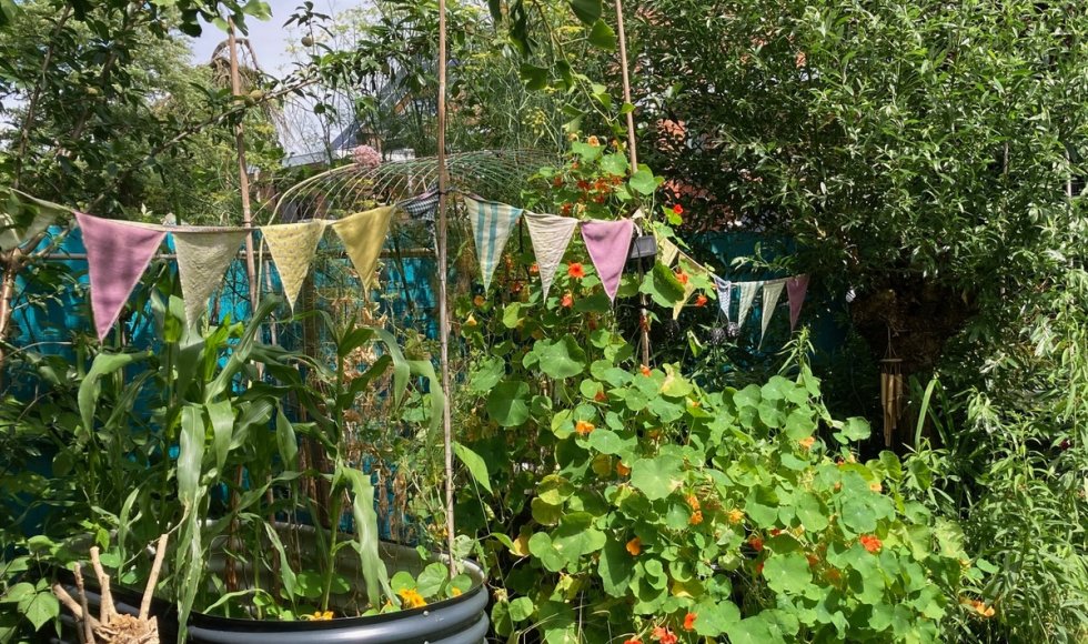 De helende dorpstuin: goed voor mens, dier, biodiversiteit en de Aarde