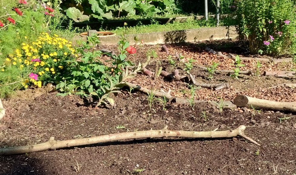 Beleeftuin Wannegem-Lede