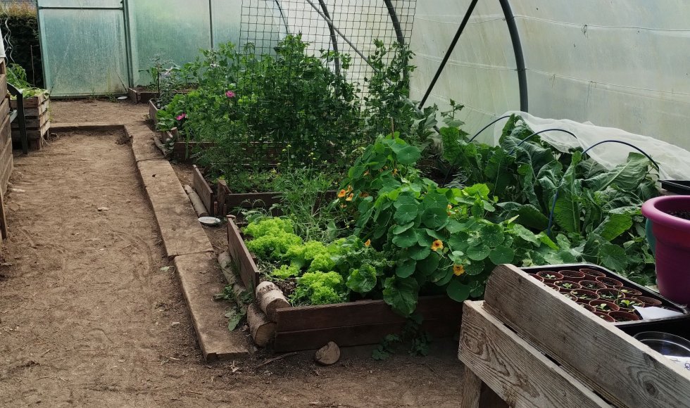 Beleeftuin Wannegem-Lede