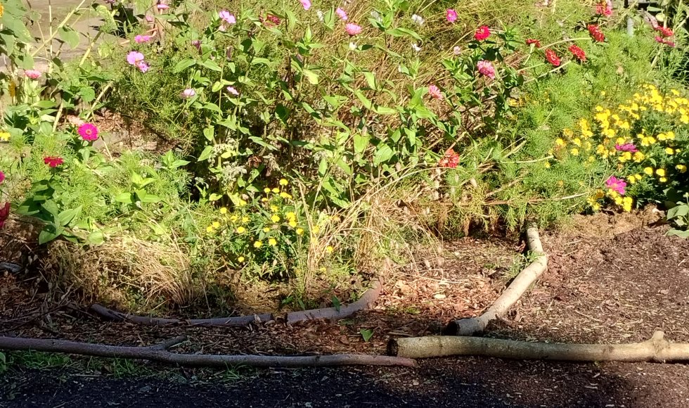 Beleeftuin Wannegem-Lede