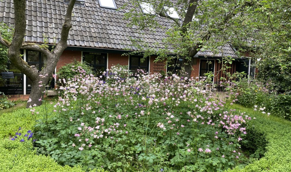 Waskemeer De Schans Breeberg 15