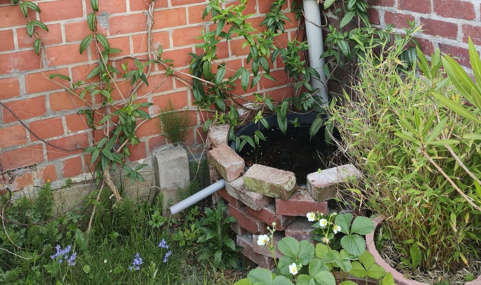 Zoe Westelinck_Wilsele