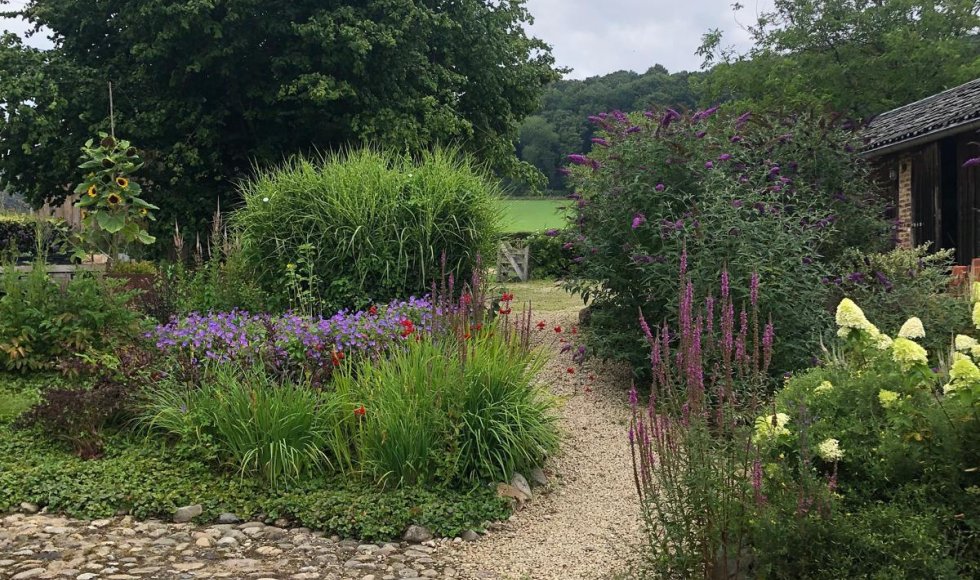 Wendies tuin_passie voor kruiden