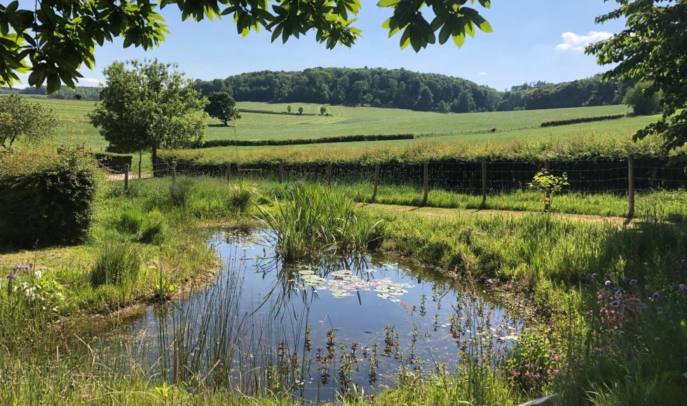 Wendies tuin_passie voor kruiden