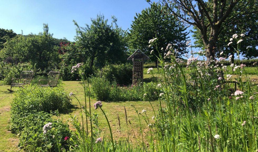 Wendies tuin_passie voor kruiden