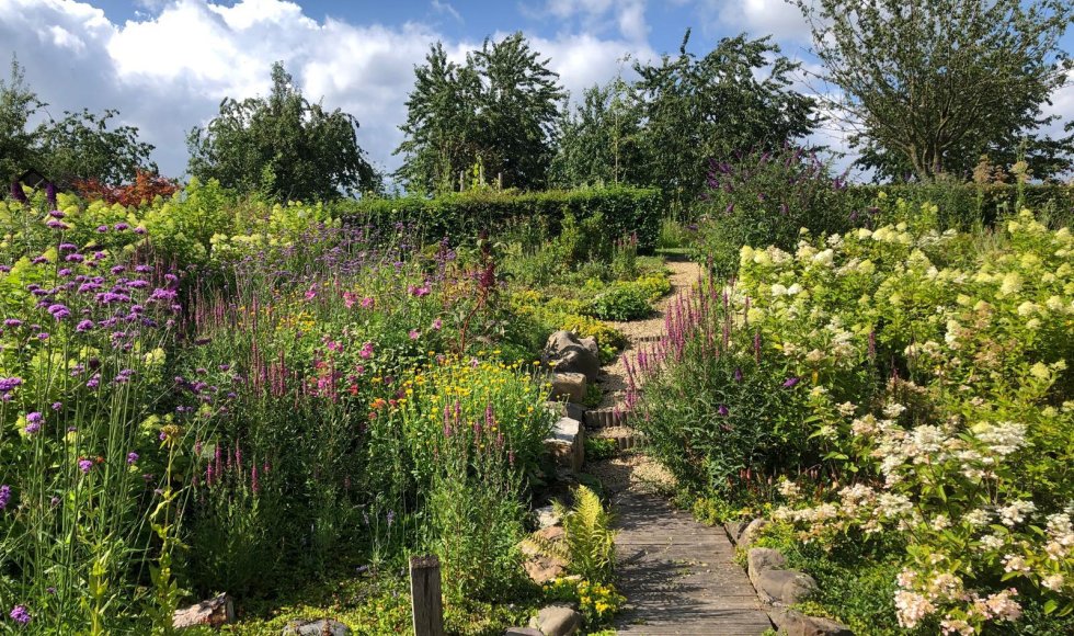Wendies tuin_passie voor kruiden