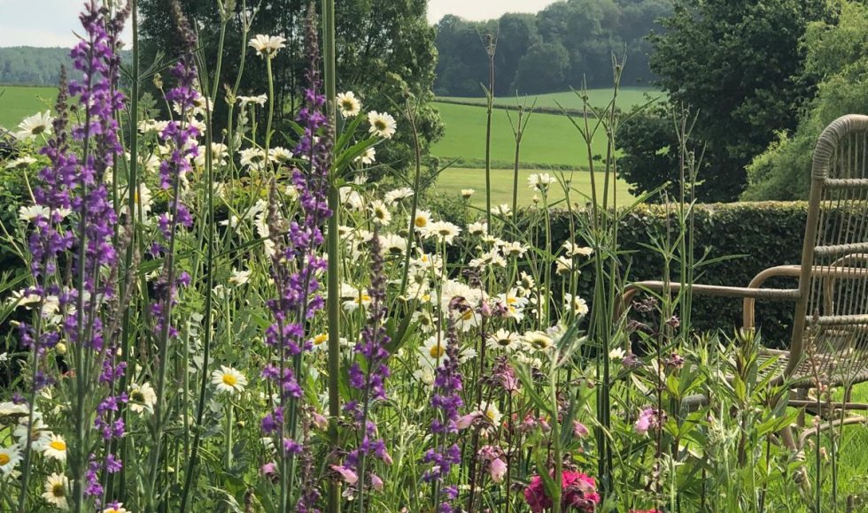 Wendies tuin_passie voor kruiden