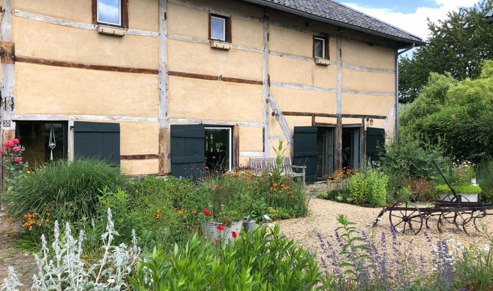 Wendies tuin_passie voor kruiden