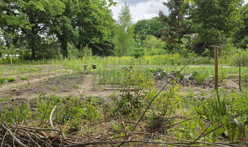 Wendy Frehe_Patersveld