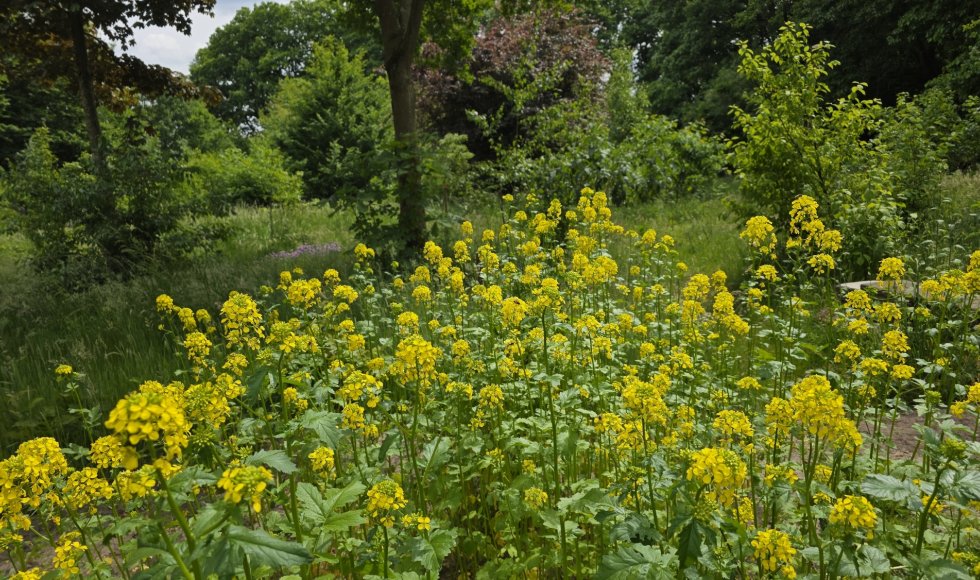 Wendy Frehe_Patersveld