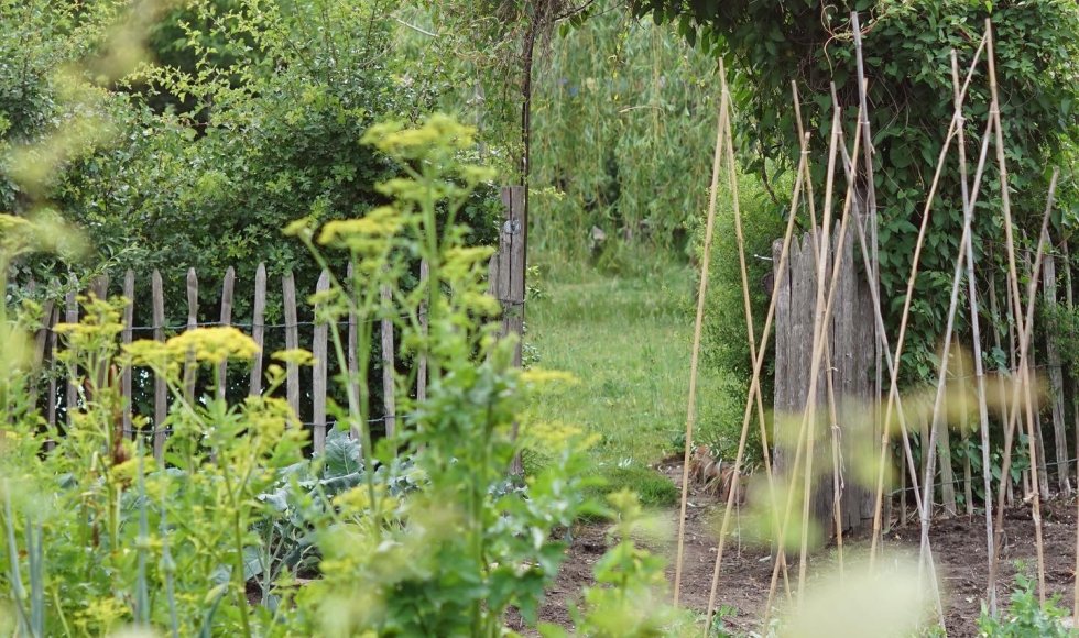 de ecotuin van riella en teun