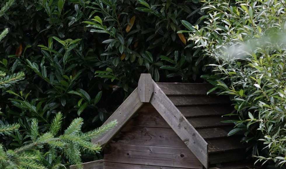 de ecotuin van riella en teun