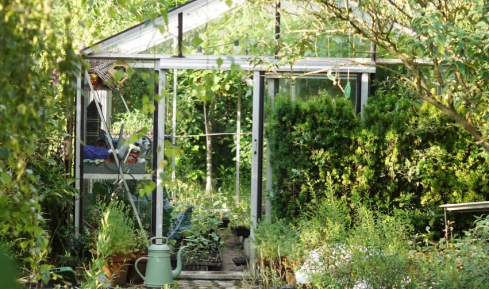 de ecotuin van riella en teun