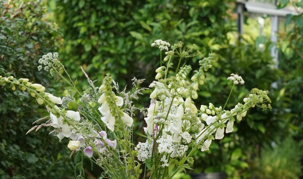 de ecotuin van riella en teun