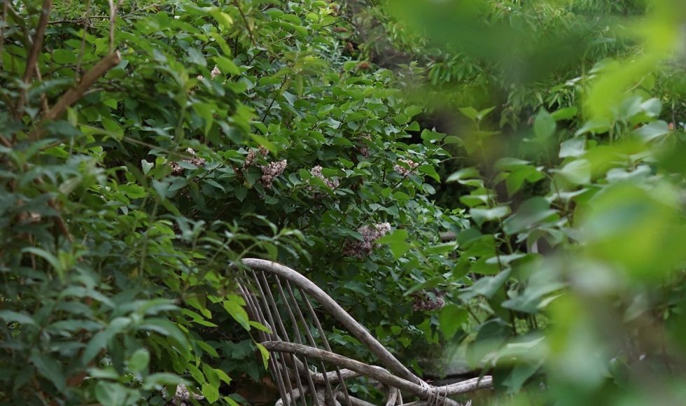 de ecotuin van riella en teun