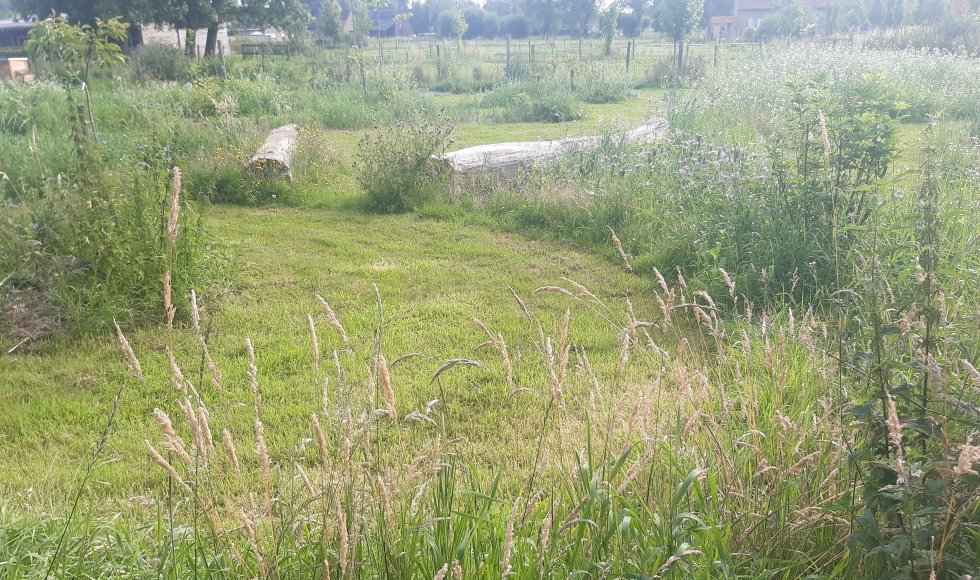Westkerke Ossenweg Zee-van-Tijd
