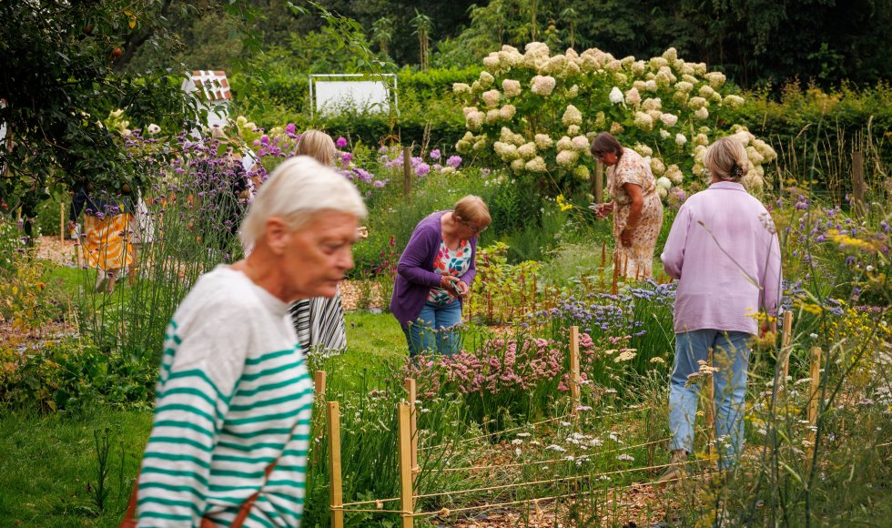 Westkerke Ossenweg Zee-van-Tijd