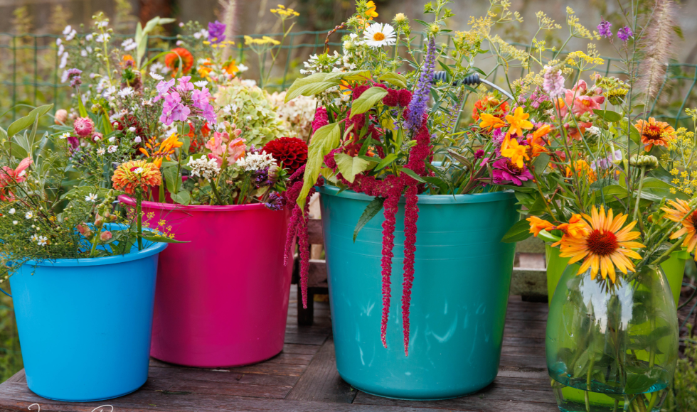 Westkerke Ossenweg Zee-van-Tijd