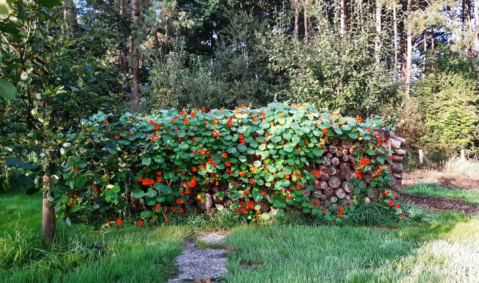 Westkerke Ossenweg Zee-van-Tijd