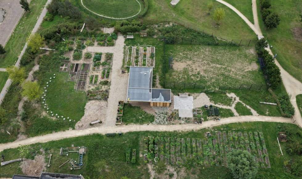 Buizerdtuin