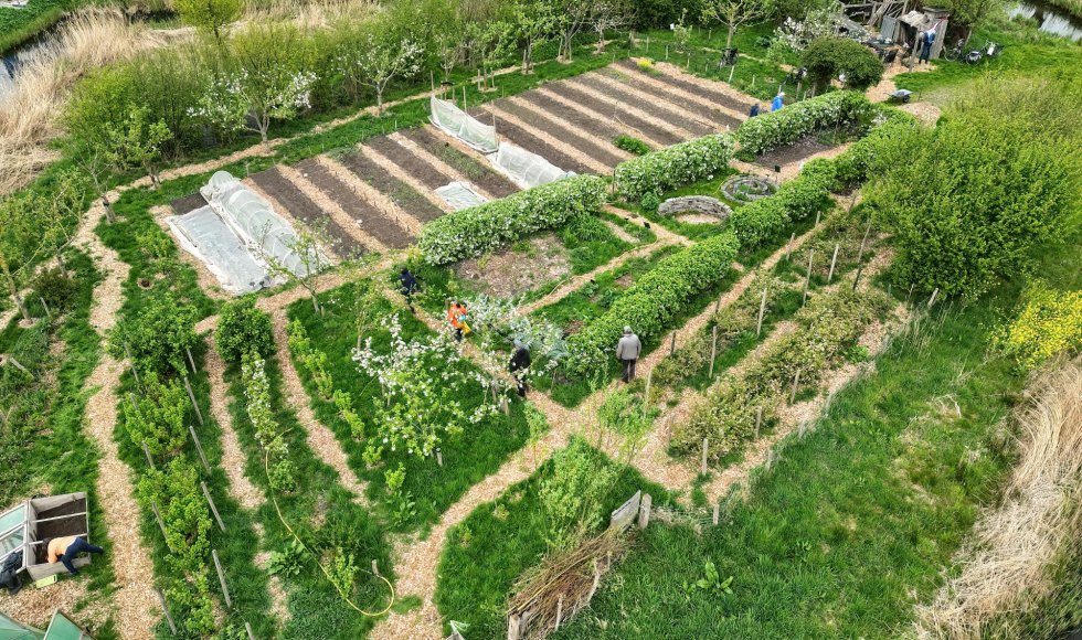 Wijktuin Alphense Wetering