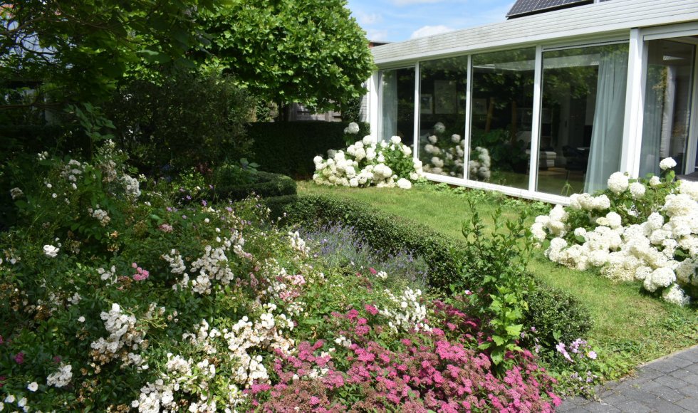 Ecologie in een woonwijk