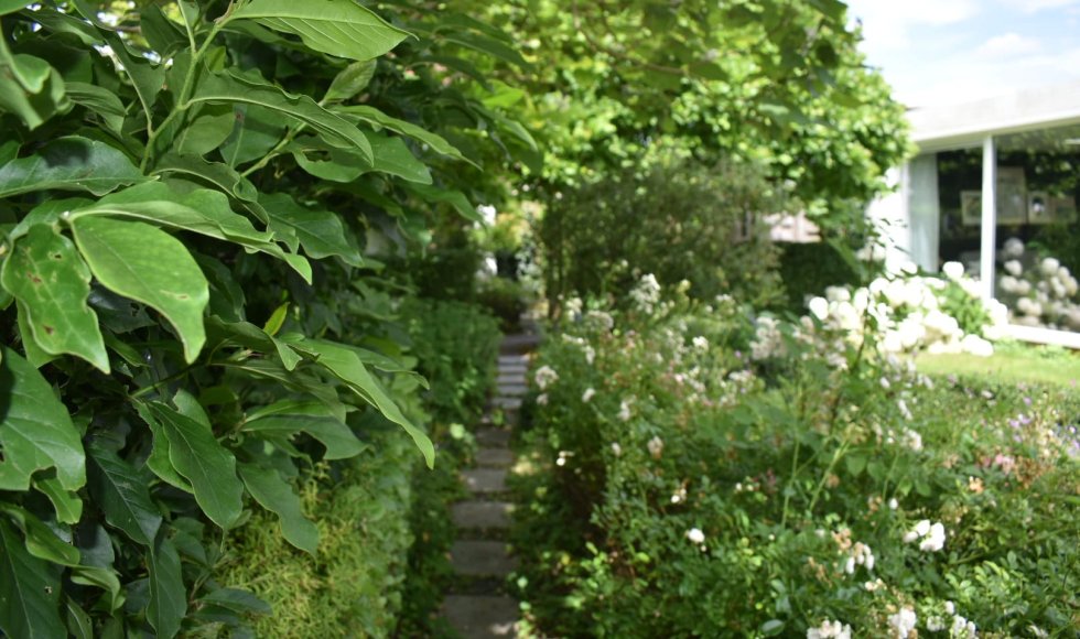 Ecologie in een woonwijk